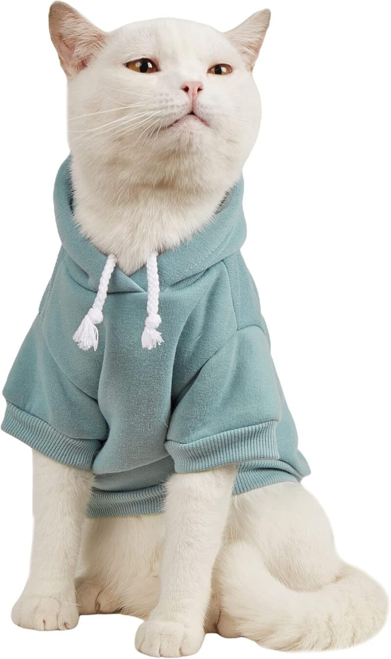 Basic Dog Hoodie, Dog Warm Jacket, Cat Apparel, Dog Shirt, Dog Clothes for Puppy Kitten Small Medium Dogs Cats Cadet Blue S