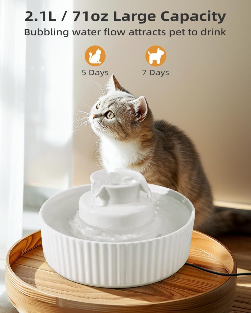 Ceramic Cat Water Fountain, 2.1L/71oz Ceramic Water Fountain for Cats and Dogs, Ultra-Quiet Pump Pet Fountain with Replacement Filter and Foam (White) - Image 2