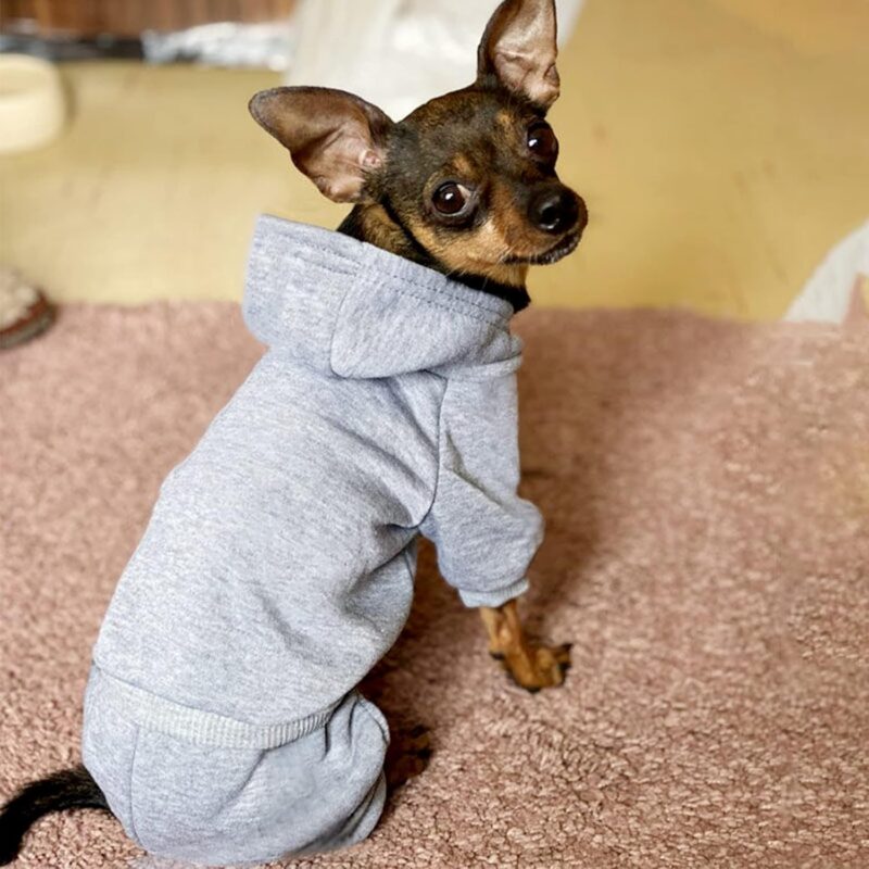 Dog Hoodie, Pet Jumpsuit Fleece Sweatshirt with Buttons, Dog Clothes, Dog Cold Weather Coats, Dog Pajamas, Winter Warm Cotton Puppy Hoodie 4 Legs Dog Clothes for Small Medium Large Dogs Cats Boy Girl - Image 2