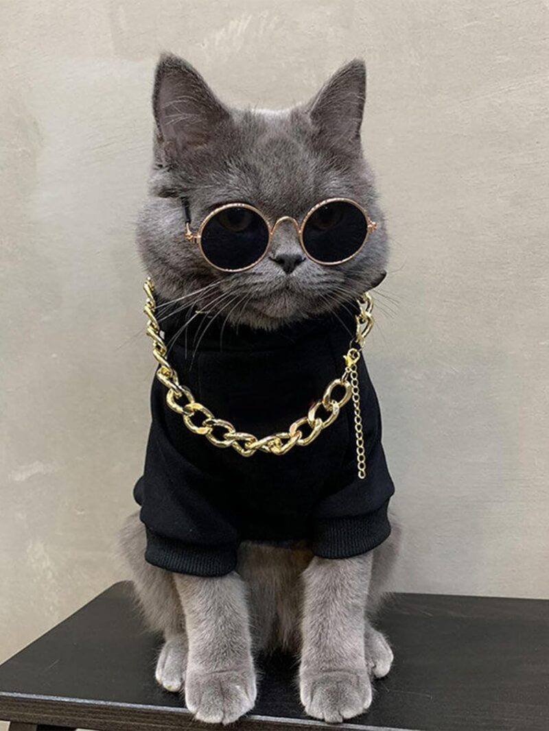 3Pcs Dog Hoodie Cat Apparel Dog Custume Set with Necklace and Sunglasses Pet Clothes for Puppy Small Medium Dogs Cats Multicolor S - Image 2