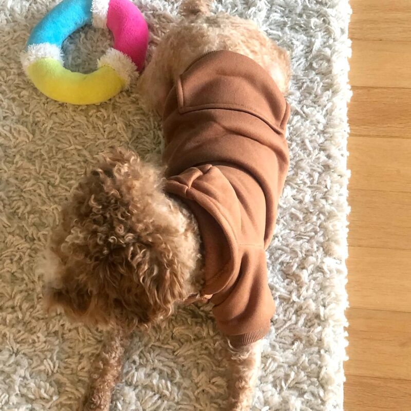 Winter Dog Hoodie Sweatshirts with Pockets Warm Dog Clothes for Small Dogs Chihuahua Coat Clothing Puppy Cat Custume (Small, Coffee) - Image 2